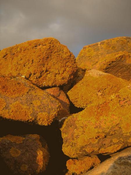 ...su muretto a secco...